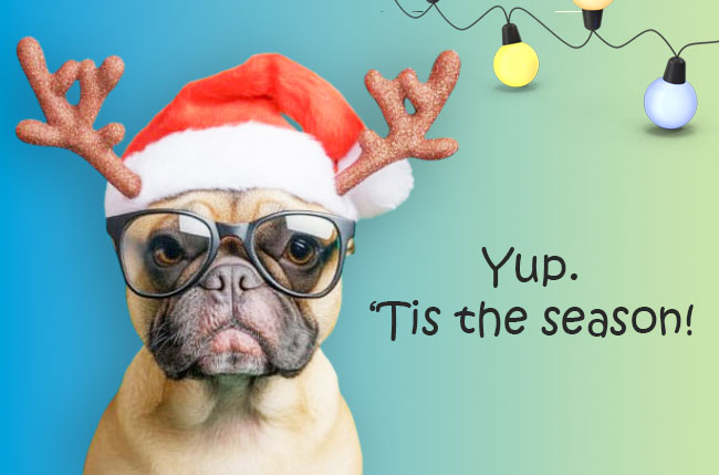 Cute pooch. Yup, tis the season - Season's Greetings!